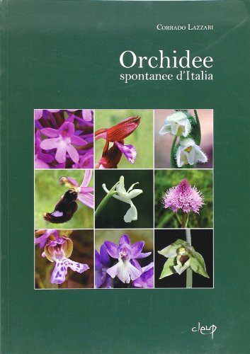 Orchidee spontanee d'Italia. Ediz. illustrat