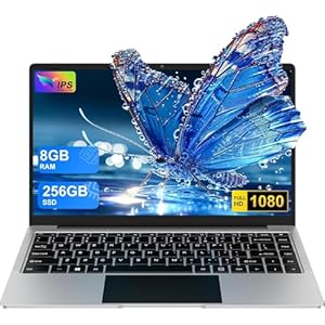 HUQPPQ Laptop 14 Inch Laptop Computer 8GB RAM 256GB SSD Storage(TF Card 512GB-1TB) N4020 Processor(Up to 2.8GHz) PC Notebook with USB WiFi BT4.2 Wireless Mouse & Keyboard Stickers-Silver