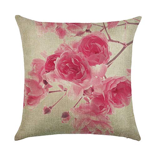 Hengjiang Federa per cuscino con stampa su