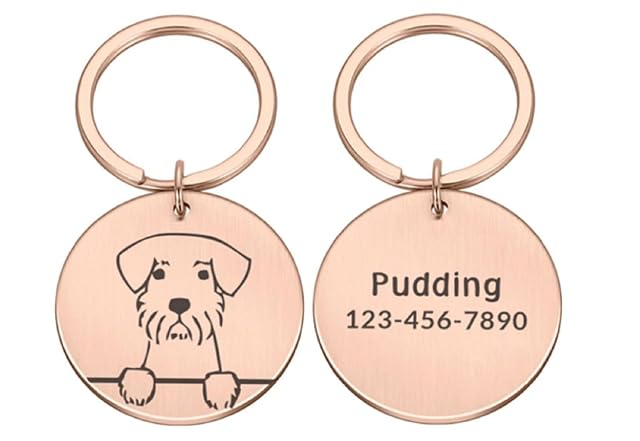 Medalla De Perro Personalizada Con Nombre Grabado Placa De Identificación Personalizada Dirección Collar…