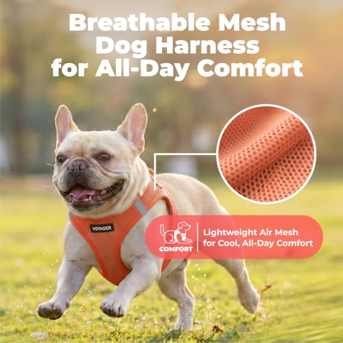 Image of Voyager Step-in Air Dog Vest Harness - Orange, Small | 14.5-16 inch in Chest, Reflective Bands, All Weather Breathable Air Mesh, Cats Compatible, Lightweight, Fast Drying
