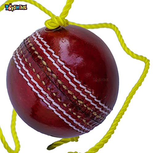 Toyshine Cricket Hanging Ball For Shot Practice, (Leather, Sstp, Red) 4 51IPOePMoZS