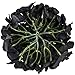 Flojery Black Silk Hydrangea Heads Artificial Flowers Heads with Stems for Home Wedding Decor,Pack of 10(Black)
