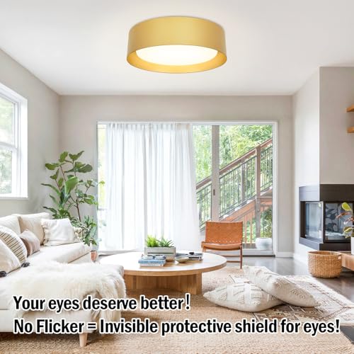 Image of Flush Mount Ceiling Light, 16in Modern Ceiling Light 5 Color Temperature
