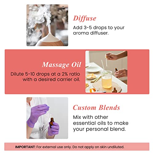Handcraft Blends Grapefruit Essential Oil – Huge 4 Fl Oz – 100% Pure and Natural – Premium Grade Essential Oil for Diffuser and Aromatherapy, Skin, Massage, Candle and Soap Making Fragrance