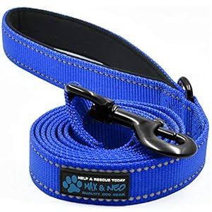 Max and Neo Reflective Nylon Dog Leash – We Donate a Leash to a Dog Rescue for Every Leash Sold (Blue, 6×1)
