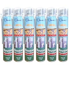 Lot de 6 Mousses Expansives Manuelles DSTOCK60 de 750ml - Mousse Polyuréthane Professionnelle