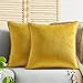 Hivexagon Juego de Fundas de cojín Decorativo de Terciopelo de Lujo Amarillo Dorado Suave Cuadrado hogar, sofá, Dormitorio 45X45cm(2 Piezas)