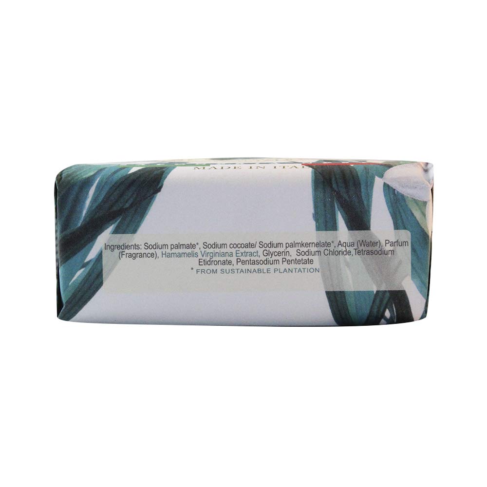 NESTI DANTE Marsiglia Toscano Alga Marina Soap 200g