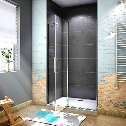 Porta Doccia per Nicchia Apertura Battente Vetro