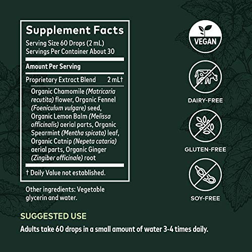 Gaia Herbs Gi Feel Good - Digestive Health Support Supplement With Organic Chamomile, Fennel Seed, Spearmint, Ginger Root, And Lemon Balm - 2 Fl Oz (Up To 10-Day Supply) #TOP5
