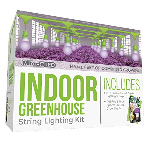 TopNotch Grow Lights for Rubber Plants 10 Favorites in 2024