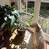 Photo Gallery it s a good day