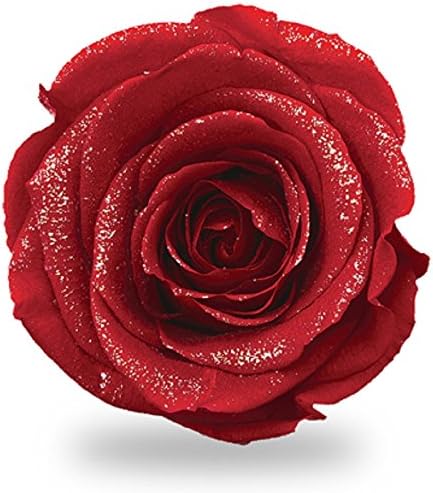 アモローサ Amorosa DI-PIN-04 Preserved Flowers, Diamond, Feminine Pink, 3 Wheels