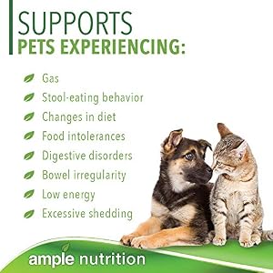 Ample Nutrition Digestive Enzyme for Dogs & Cats, 7.05oz - Tasteless Powdered Blend Ample Nutrition Digestive Enzyme for Dogs & Cats, 7.05oz – Tasteless Powdered Blend