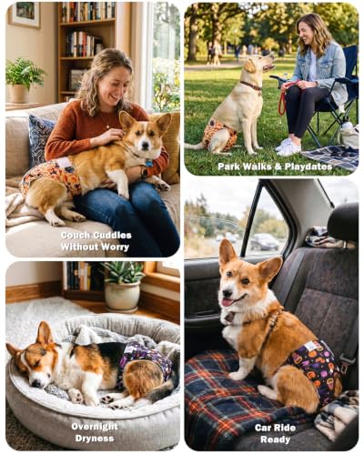Image of CuteBone Dog Diapers Female Halloween Washable Small Medium Large 3 Pack Reusable Doggie Diapers Puppy Period Pants for Doggy Heat Cycle Peeing D83S