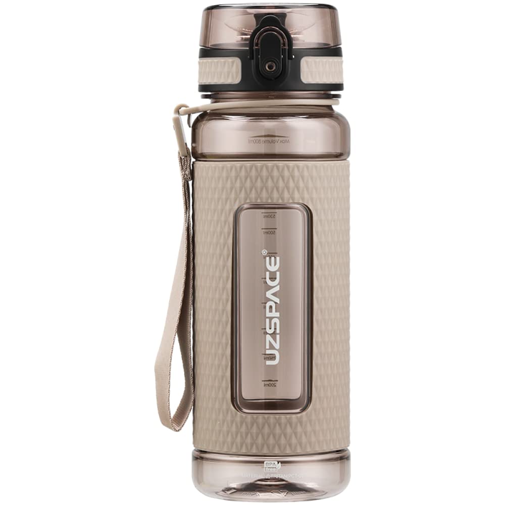 Water Bottle Fruit Infuser Sports Water Bottle 800ml, BPA Free Tritan, Leakproof (Oak Grey)