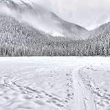  Happy Christmas and New Years 2019 Songs: 40 Timeless Holiday Classics to Enjoy with Friends and Family