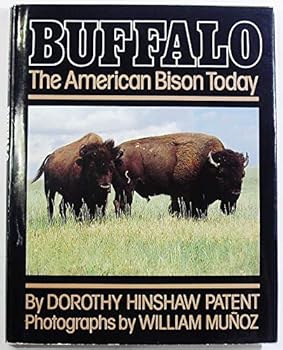 Hardcover Buffalo, the American Bison Today Book