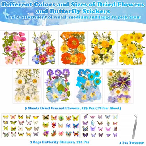 Image of 284 Pcs Real Dried Pressed Flowers & Butterfly Stickers for Resin Crafts