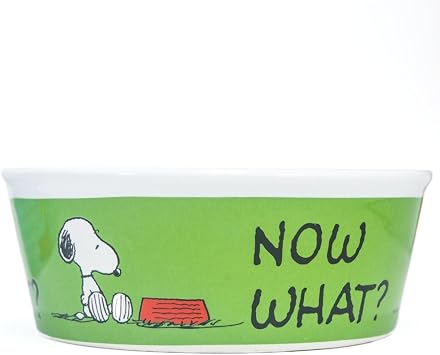 Peanuts Snoopy Green Dog Bowl Heavy Stoneware Pet Dish 5 Inch Wide Amazon Co Uk Pet Supplies