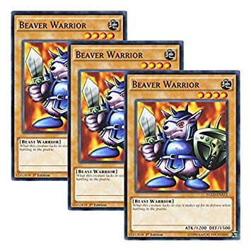 Amazon.co.jp: 【 3枚セット 】遊戯王 英語版 YGLD-ENA12 Beaver