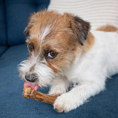 Image of Nylabone Healthy Edibles Dog Treats, Roast Beef Flavor, X-Small, 8 Count | Natural dog chews, made in USA, highly digestible, vet recommended, long lasting chews for small dogs up to 15 lbs
