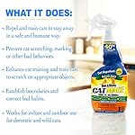 Nature’s MACE Cat MACE, Cat Repellent Spray, 1 Gallon, Keep Cats Out of Your Lawn and Garden, Cat Repellent Outdoor to Keep Cats Away, Indoor, Safe to use Around People, Pets, & Plants - Image 3