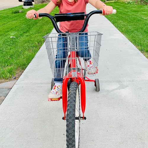 Panier pour vélo de grosse capacité métallique solide et stable pour le transport - 4