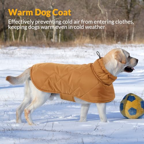 CITÉTOILE Hundemantel für Kleine Hunde, Hundemantel Winter,Winddichte Hundejacke für Hund Indoor & Outdoor Camping Wandern