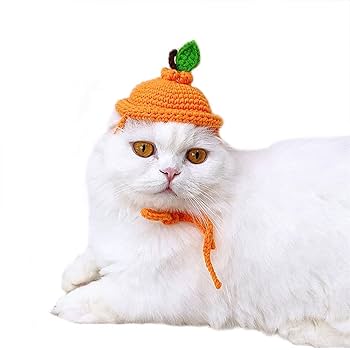 Amazon.com : Pet Hat, Dog Hat Lemon Headgear Adjustable Cap