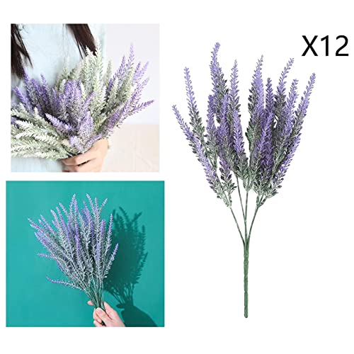 Mejores review On-line Lavanda planta precio tabla con los diez mejores. 17 Imagen adicional