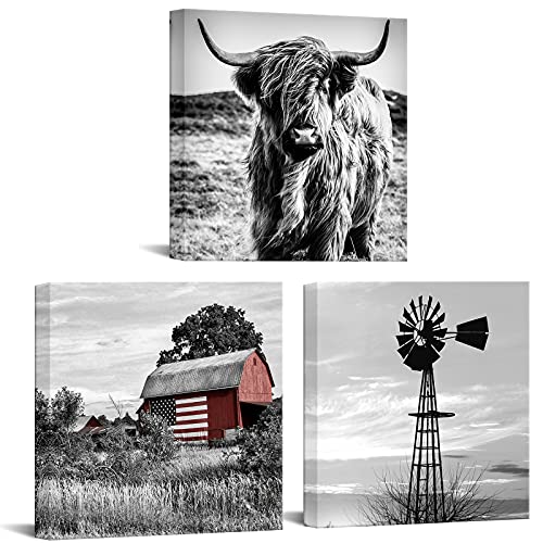 Black and White Canvas Set of 3 Wall Art Prints Farmhouse Barn American Flag Highland Cow and Windmill Pictures Rustic Farm Countryside Framed Artwork Ready To Hang Each Panel 12x12 (Small) by iKNOW FOTO - Used condition - US$23.35