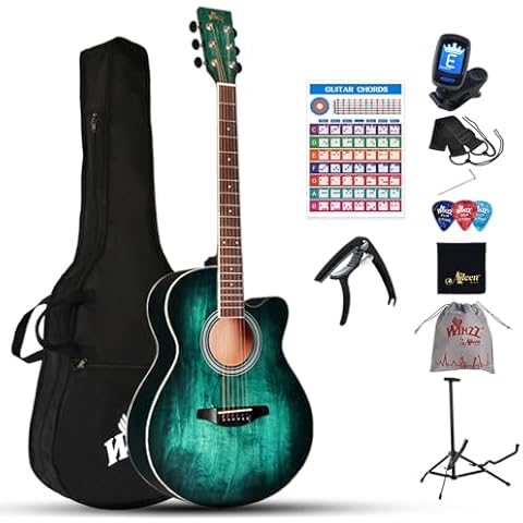 Winzz Guitare Acoustique 40 Pouces Cover