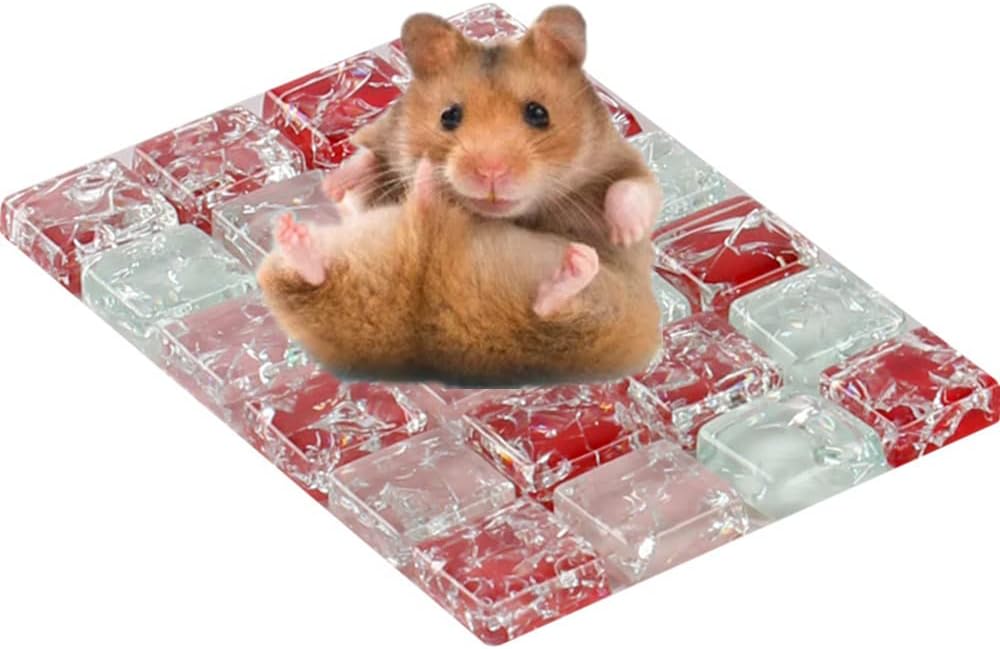 Muyyika ハムスター ひんやり 涼感 クールマット 冷却 ベッド マット 暑さしのぎに 涼しい 夏用 小動物用 冷んやり プレート 熱中症防止 暑さ対策 100 65mm 品揃え豊富で