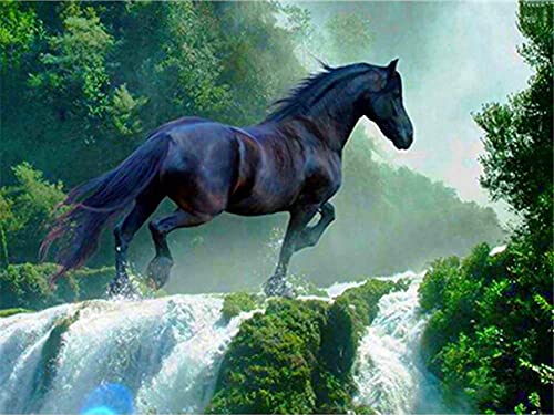 HIMBIU 5D Diamond Painting Set Pferd, DIY Diamant Painting Tier Bilder, Full Drill Kristall Kits, Diamond Dekoration Kunsthandwerk Hauptwanddekor-Geschenk 30x40 cm