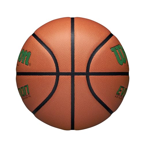 Image of Wilson Evolution Basketballs