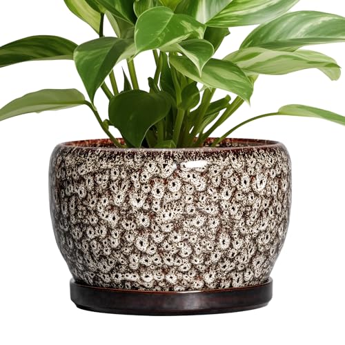 SQOWL Ceramic Planter - 8 inch Plant Pot Indoor with Drainage Hole and Plant Saucer, Round Ceramic Flower Pots Outdoor, Decorative Modern Planter, Office Kitchen Decor, Gifts for Women Men, White