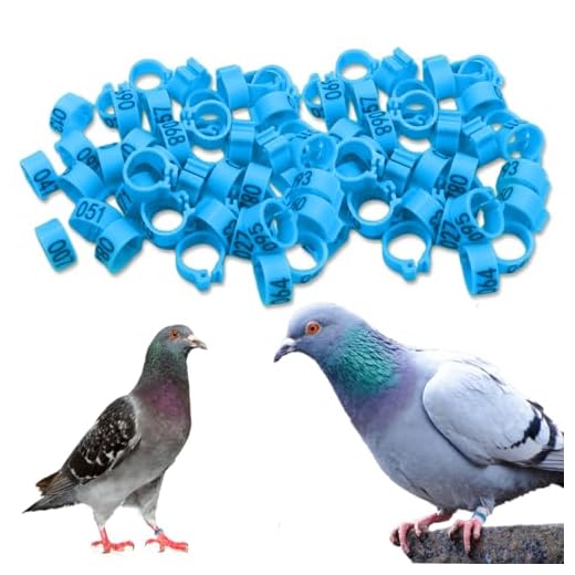 EIHI 100 anillos de paloma de 8 mm, pata de pájaro con anillos de plástico, anillos de identificación para pájaros, loros, palomas, codornices y pájaros jóvenes (azul)