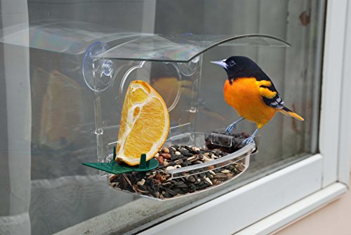 Woodlink NAWFDR Audubon Mixed Treat Window Feeder
