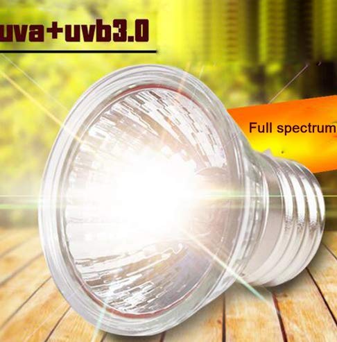 AquaNature UVA+UVB 3.0 Reptile lamp Set with Clip-on Bulb Lamp Holder Turtle Basking UV Heating Lamp Kit Tortoises Light Lizards Lighting 1