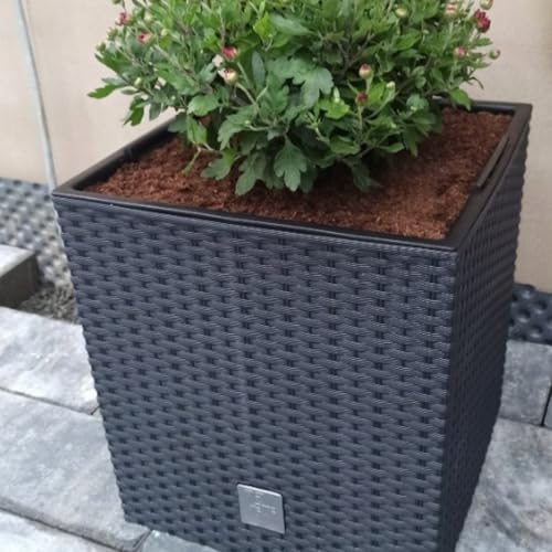 B2C Plant Flower Pot Square Rattan Planter Inner Pot 6 Sizes Garden Patio Home Large (Anthracite, 5L) 6 B2C Plant Flower Pot Square Rattan Planter Inner Pot 6 Sizes Garden Patio Home Large (Anthracite, 5L) - Image 6