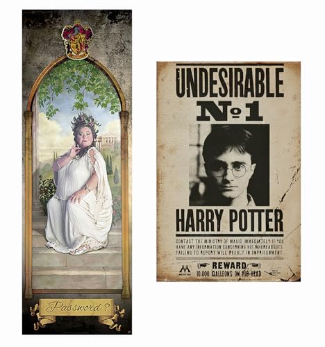 Harry Potter - Movie Poster Set (The Fat Lady Door Poster & Harry Potter Wanted) (Size: 21
