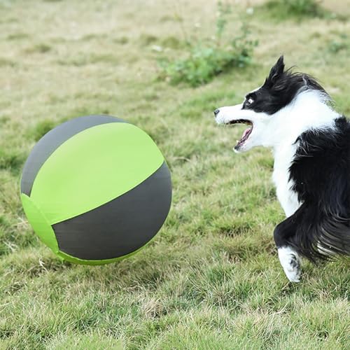 Ballon entraînement pour chiot robuste et gonflable pour la ferme - 4