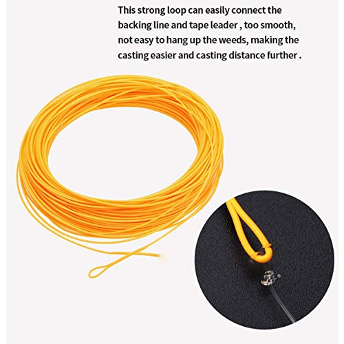 Angler Dream 5 Wt Fly Fishing Line Combo Weight Forward Fly Fishing Line With Braided Backing Tapered Leader Preload Fly Line #TOP5