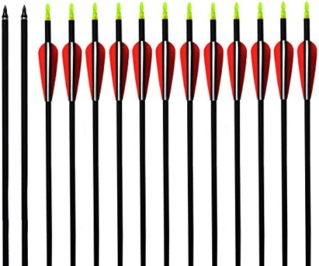 ARCHERY SHARLY 31" Carbon Hunting Arrows Targeting Practice Arrows,3" Plastic Vanes Screw-in Replacement Tips for 35-50LBS Recurve &Traditional Bow & Longbow (Red-White)