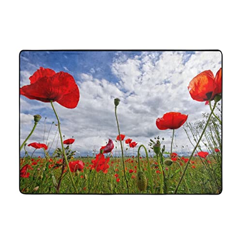 Area Rugs For Living-Room, Red Poppy Flower Printed Bedroom Carpets Non-Slip Floor Mat, Office 80X58 Inch Rugs #TOP13