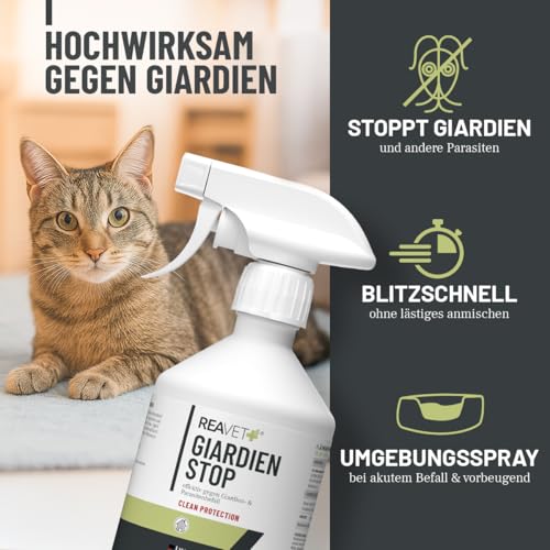 ReaVET Giardien-Spray 500 ml – Hygiene-Spray für Hund & Katze I wissenschaftlich Belegter Wirkstoff I Umgebungsspray zur Desinfektion gegen Giardien, Viren, Bakterien & Pilze