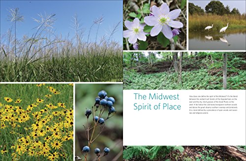 Native Plants of the Midwest: A Comprehensive Guide to the Best 500 Species for the Garden