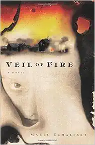 Veil of Fire: A Novel book cover